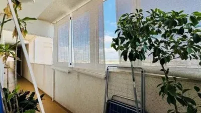 Apartment on Calle Joven Pura photo 16