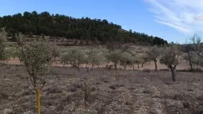 Terreno en venta en Biar - Més