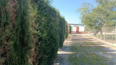 Chalet in Murcia Capital photo 42