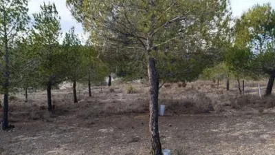 Terreno en venta en Biar - Vista 4