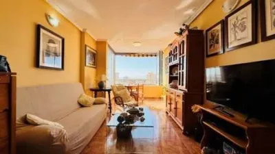Apartment on Calle Joven Pura photo 10