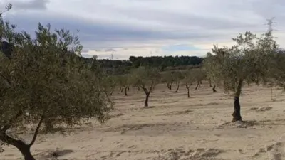 Terreno en venta en Biar - Vista 3