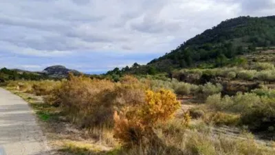 Terreno en venta en Tibi - Vista 2