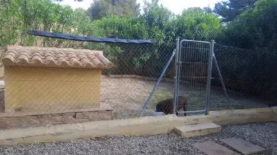 Chalet in Tibi photo 35
