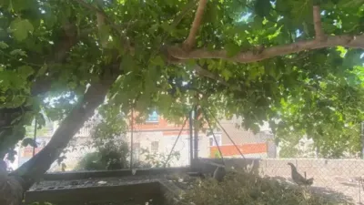 Chalet on Carrer de Sant Blai photo 10