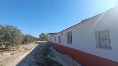 Chalet in Murcia Capital photo 35