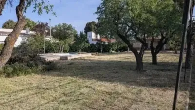 Chalet in Albacete Capital photo 27