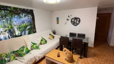 Casa – Albacete, Urbanización La Florida, Vereda - Vista 2