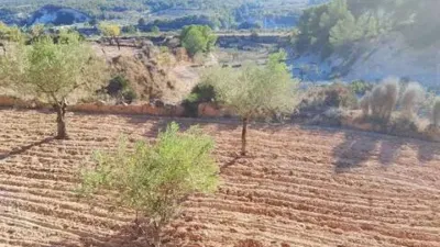 Terreno en venta en Tibi - Vista 5