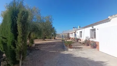 Chalet in Murcia Capital photo 5