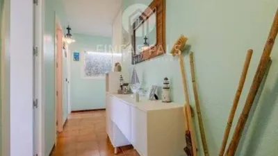 Apartment in Carrer de Ponent photo 4