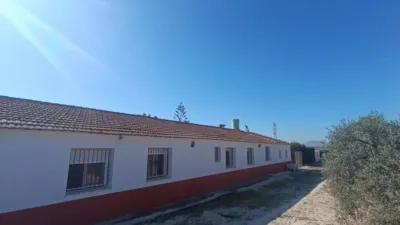 Chalet in Murcia Capital photo 33