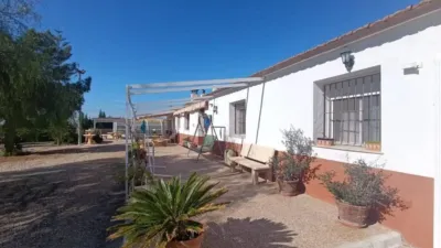 Chalet in Murcia Capital photo 3