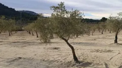 Terreno en venta en Biar - Vista 2