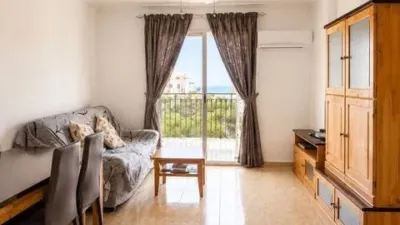 Pis – Torrevieja - Vista 3