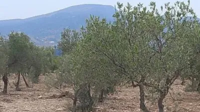 Terreno en venta en Onil - Vista 5