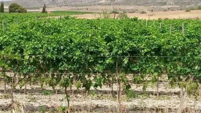 Terreno en venta en Agost - Vista 4