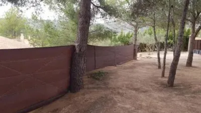 Chalet in Onil photo 8