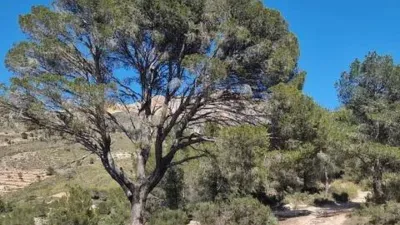 Piso – Tibi, l'Alcoià - Vista 2