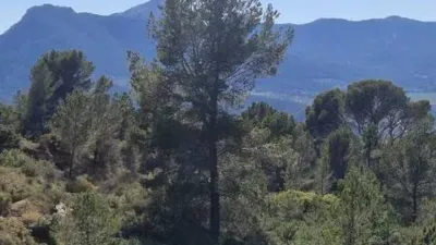 Piso – Tibi, l'Alcoià - Vista 4