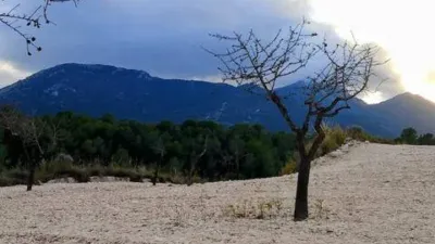 Rustic House in Tibi photo 18