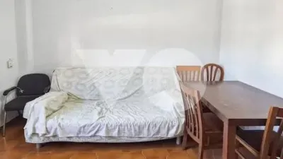 Apartment in Buenavista photo 6