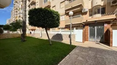 Apartment on Calle Joven Pura photo 23