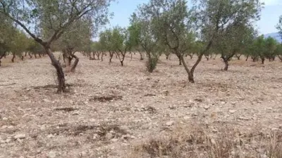 Terreno en venta en Onil - Vista 4