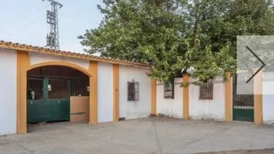 Casa rústica en Nueva Alcalá photo 10