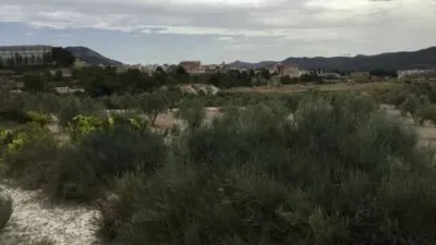 Terreno en venta en Tibi - Vista 2