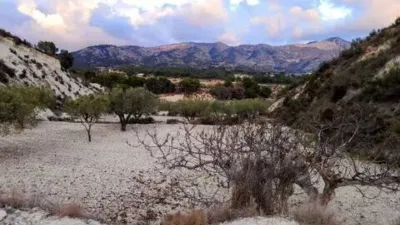 Rustic House in Tibi photo 16