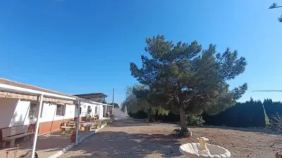 Chalet in Murcia Capital photo 6