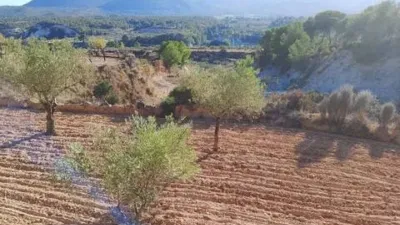 Terreno en venta en Tibi - Vista 4