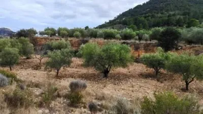 Terreno en venta en Tibi - Vista 5