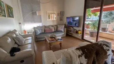 Chalet in Murcia Capital photo 7