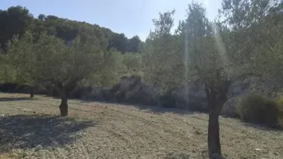 Rustic House in Tibi photo 110