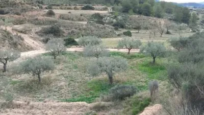 Terreno en venta en Tibi - Vista 3