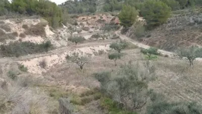 Terreno en venta en Tibi - Vista 4