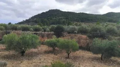 Terreno en venta en Tibi - Más