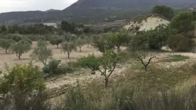 Terreno en venta en Tibi - Vista 3
