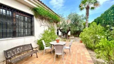 Chalet in Alicante - Alacant photo 29