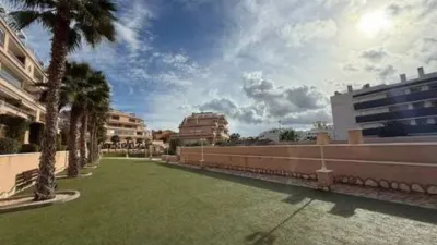Flat on Calle Pimienta photo 21