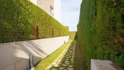 Apartment at Calle J.H. Alhamed, 1 photo 26