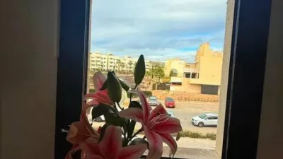 Flat on Calle del Azahar photo 22