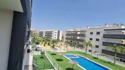 Pis – Orihuela - Vista 2