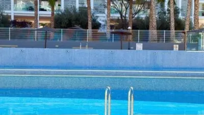 Penthouse in Playa de San Juan photo 66