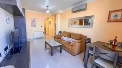 Pis – Torrevieja - Vista 5