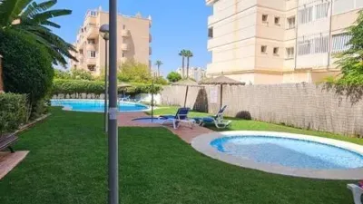 Pis – Alicante - Alacant - Vista 4