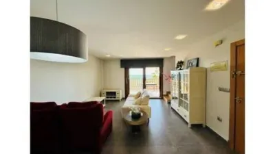 Apartment in Guardamar Playa photo 31