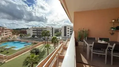Flat on Calle Pimienta photo 17